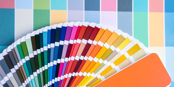 Colour consults interior and exterior